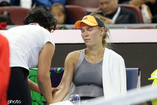 引发了对郑 引发了对郑