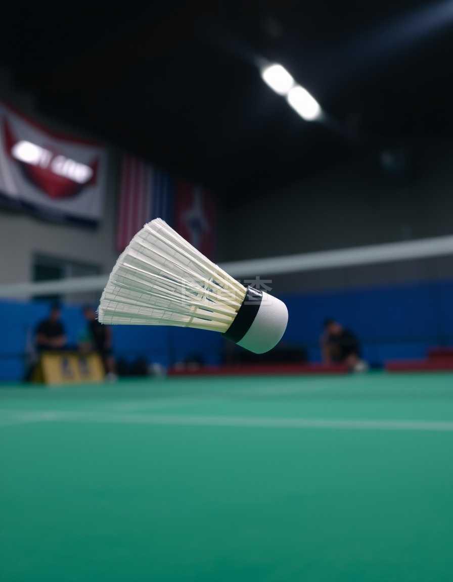 省体免费开 省体免费开